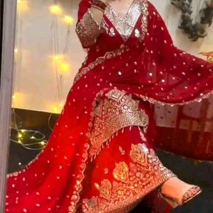 Pakistani Inspired Gorgeous Ready Party Collection 01