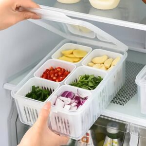 6-Grid Fridge Storage Container | Plastic Compartment Storage